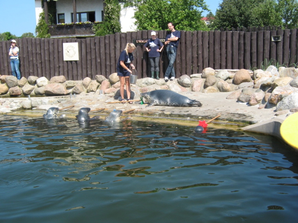 WLA_2009 (38).jpg